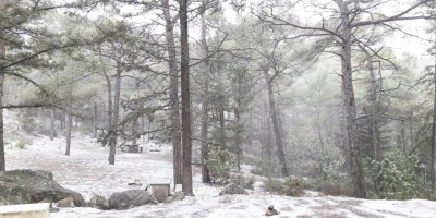 Yüksek bölgelere kar yağdı