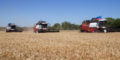 FAO: Gıda ve yem fiyatları yüzde 20 artabilir