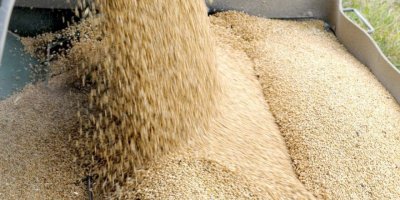 Geçen yıl 110 TL, bu yıl 350 TL!