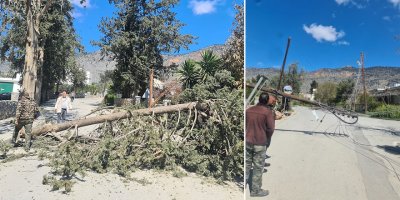 Şiddetli rüzgardan ağaçlar ve elektrik direkleri kırıldı
