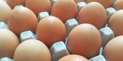 Yumurtaya bir zam daha!