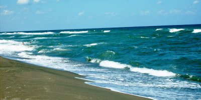 Sahilde çürümüş erkek cesedi bulundu