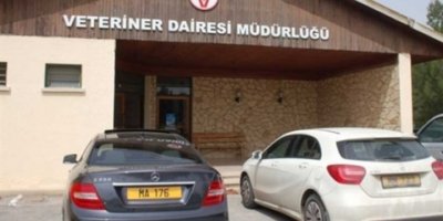 Veteriner Dairesi Laboratuvar hizmetlerinde indirim