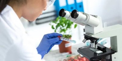 Gıda denetimleri temiz çıktı