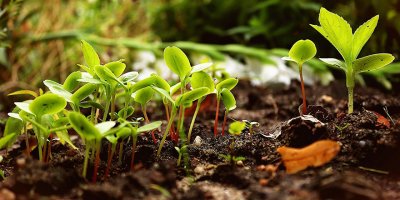 Geleceğin tarım uygulamaları masaya yatırıldı