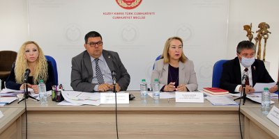 “4 yasa tasarısının geçmesi konusunda kararlıyız”