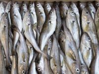 Faydası olduğu kadar zararı olan besinler