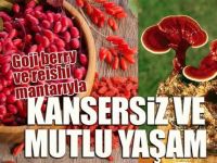 Goji berry ve reishi mantarıyla kansersiz ve mutlu yaşam