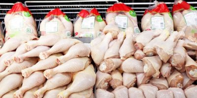 Tavuk fiyatlarına da zam geliyor!