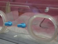 Sivas'ta 2 günlük bebek sokağa terk edildi