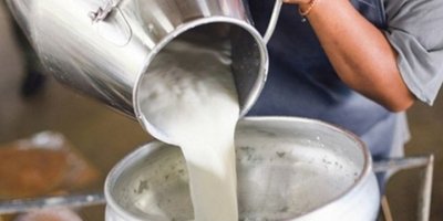 6 ayda çiğ süte %234 zam !