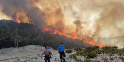 Yangın kontrolden çıktı, ormanlık alana yayıldı, evleri sardı