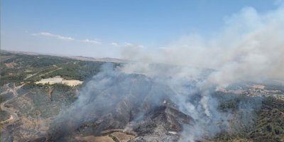 Bin dönüm civarında alan yandı