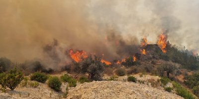 "Yangın bir çöp kamyonunun iletim hatlarımıza zarar vermesi sonucu meydana geldi"