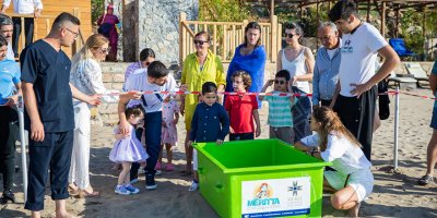 Kaplumbağalar sahillerimizde yuvalamaya başladı