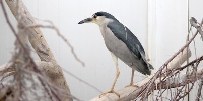 Erkek bir gece balıkçı çok kötü durumdan kurtarıldı