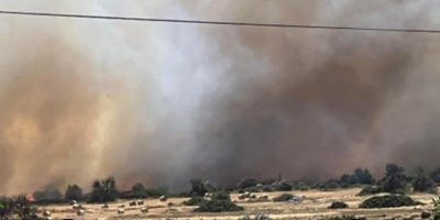 Bir yangın da Taşpınar’da çıktı