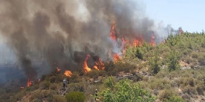 Tarım Bakanlığı'ndan çağrı!