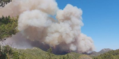 "Bölge tehlike altında, yangın önlenemiyor!"