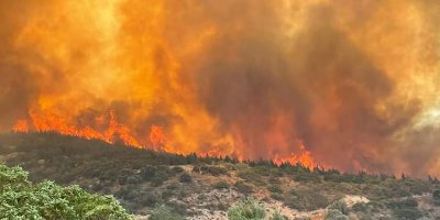Doğancı'da yangın