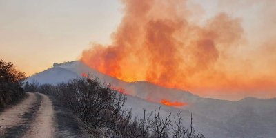 5 bin ile 5 bin 500 dönüm arasında bir alan yandı