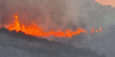 Yangın kontrol altına alınamadı