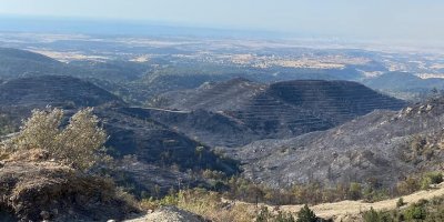 10 bin dönüm kül oldu