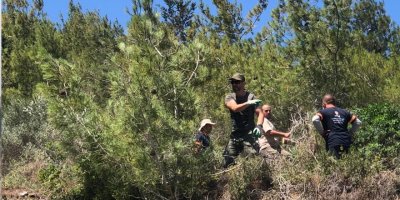 Yangının ilerlememesi için ağaçlar kesiliyor