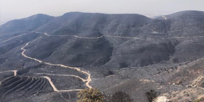 Yaklaşık 16 bin dönüm yandı