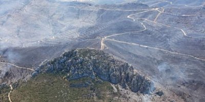 "Yangının Mersinlikle Ardahan yolunun doğusuna geçişi önlendi"