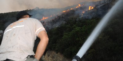 Tarım Bakanı Oğuz başka, itfaiye müdürü başka söylüyor!