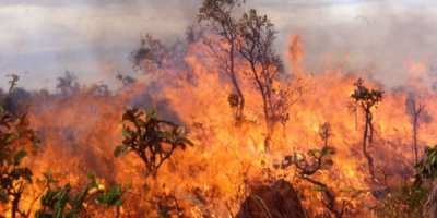 Baf'ta iki büyük yangın çıktı