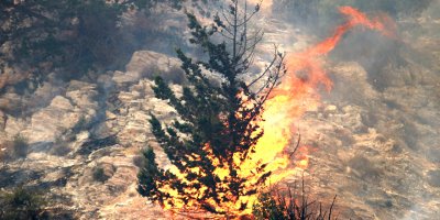 Buluşa Manastırı yakınlarındaki yangın yeniden alevlendi