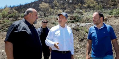 "Hedef eskisinden daha iyi bir orman yaratmaktır!"