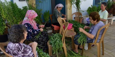 Molehiya ayıklamak yaz aylarının vazgeçilmezi