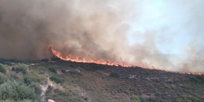 Limasol’da büyük yangın!