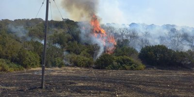 20 dönümlük makilik alan ve anızlar yandı