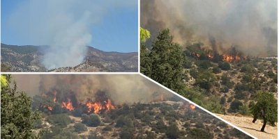 200 dönümlük alan yandı