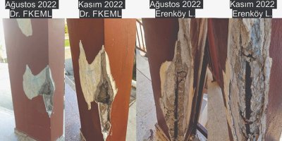 Okullardaki altyapı sorunları devam ediyor