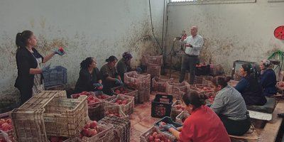 Kansoy: "Belediye tarıma öncülük edecek"