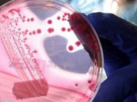 2017’nin dünyayı değiştirecek 10 bilimsel buluşu