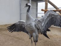 9 yıl sonra umut ışığı