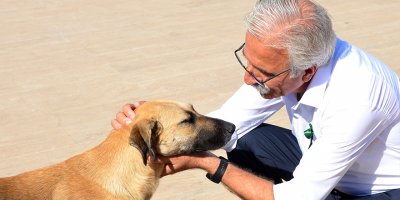 Bican: Sevimli dostlarımız için sadece seçim zamanı değil, her zaman çalışacağız