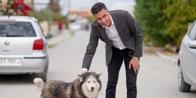 "Modern Barınak Projesi ile sokak hayvanları çağdaş bir ortama kavuşacak"