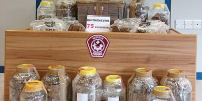 Sahillerde 14 günde 75 kilo hintkeneviri bulundu
