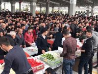 Gazimağusa Belediyesi’nin kapalı pazaryerinde Geleneksel Hamsi Festivali coşkusu yaşandı