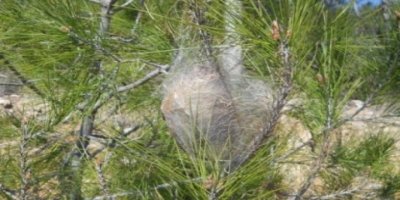 ''Büyük tahribat yaşanacak''