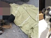 'Bunun adı cinayet!'