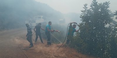 Yeşilırmak yangınının çıkış sebebi belli oldu.