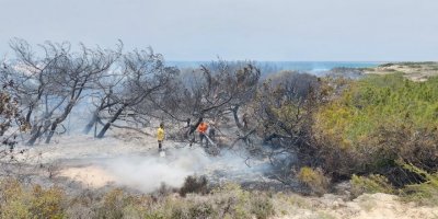 Orman yangını riskini tehlikeli boyutlarda!